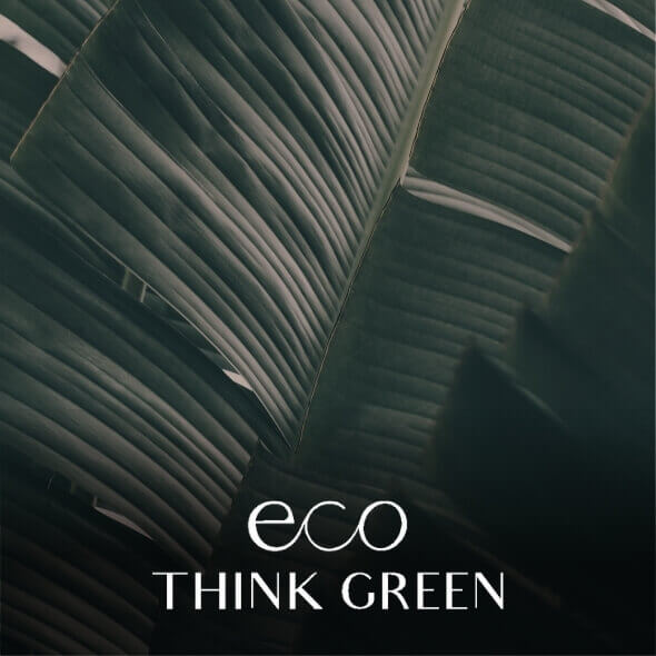 https://landeint.com/marcas/eco-think-green-2/