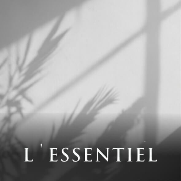 https://landeint.com/marcas/lessentiel/